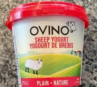 Sheep Yogurt