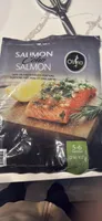 Coho Salmon