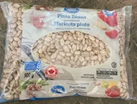 Pinto Beans
