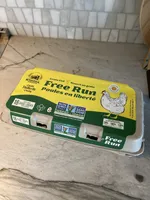 Free Run Eggs