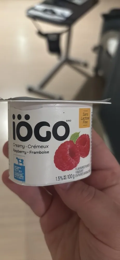Iögo flavoured pureed yogurt