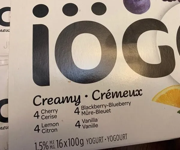 Creamy Yogurt