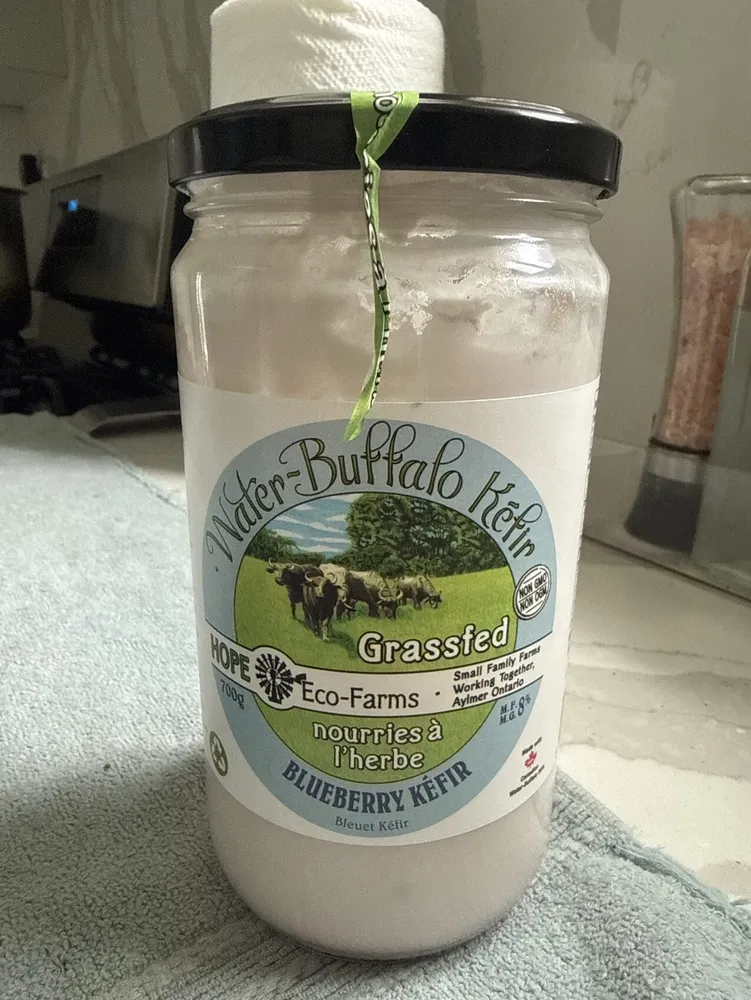 Blueberry Kefir