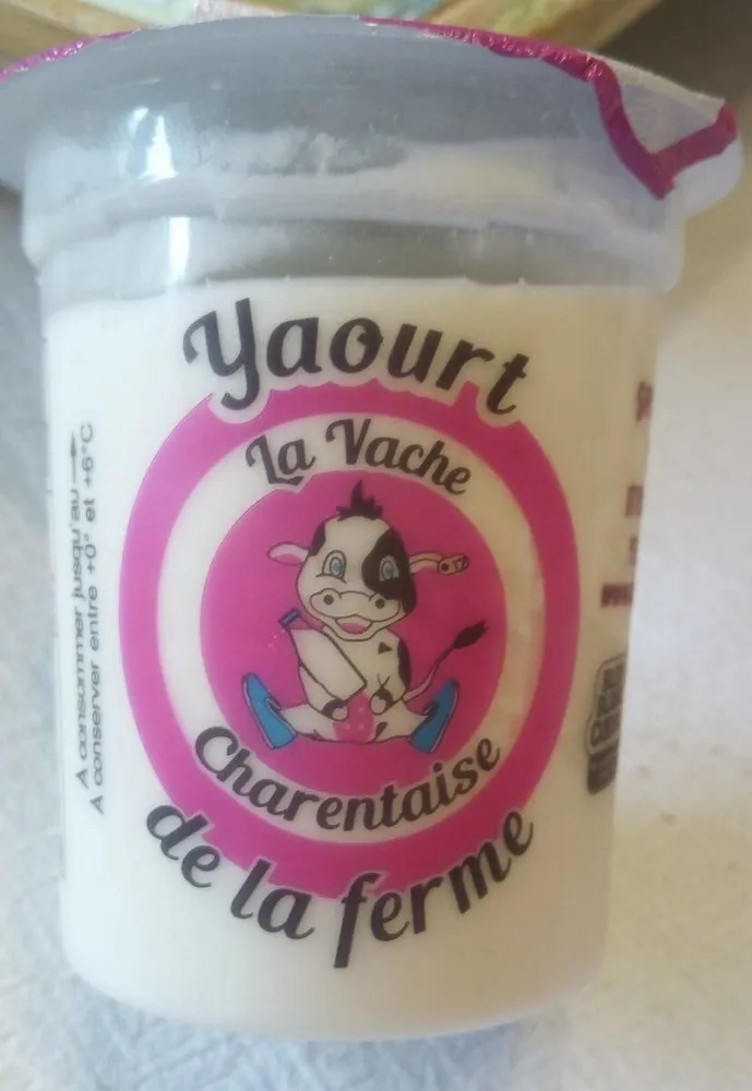 Yaourt arômatisé à la framboise