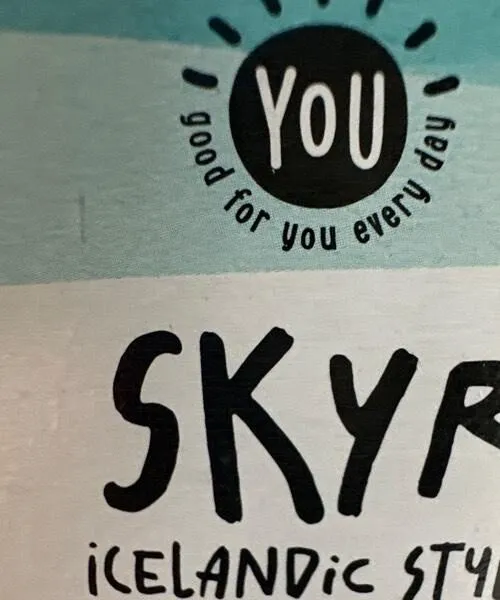 Skyr You