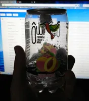 Owi goût pêche