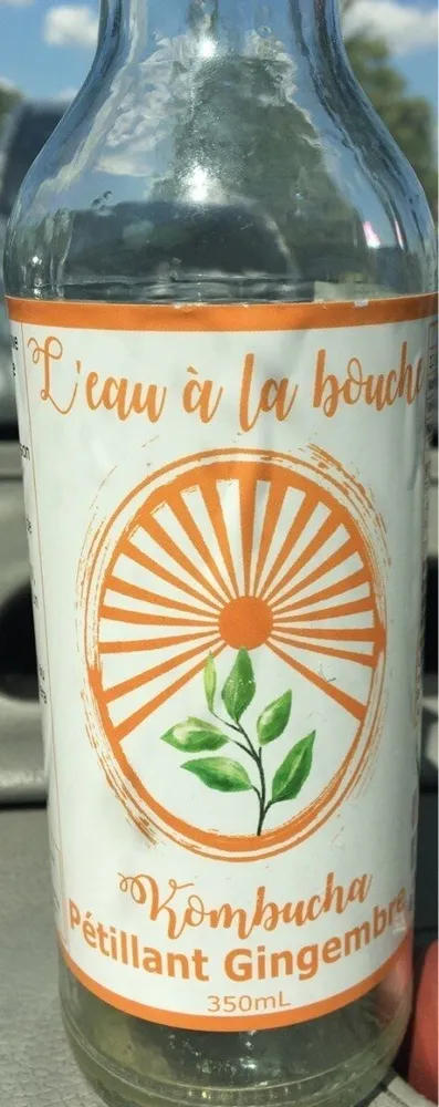 Kombucha l'eau à la bouche