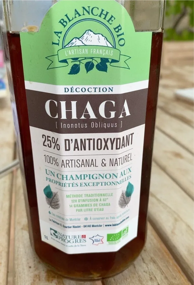 Decoction de chaga