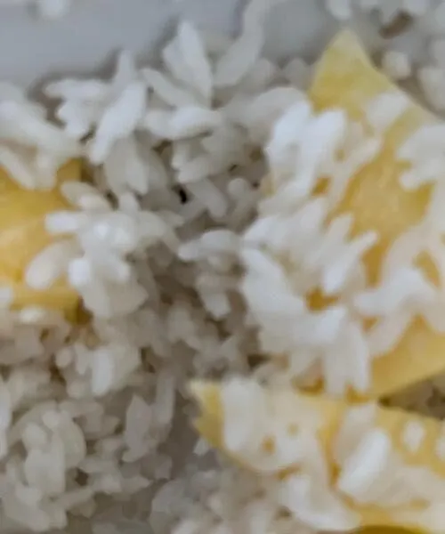 Mango Sticky Rice
