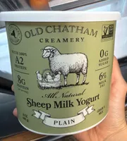 Sheep Yogurt