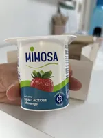 Iogurte sem lactose Morango