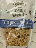 Organic Blueberry Lemon Granola