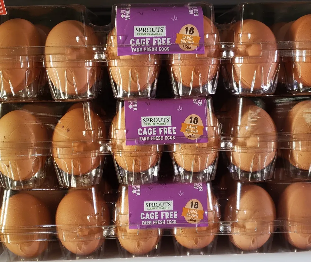 Cage Free Farm Fresh Eggs