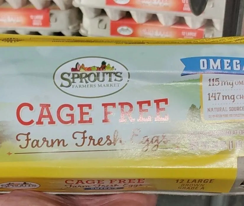 omega-3 eggs