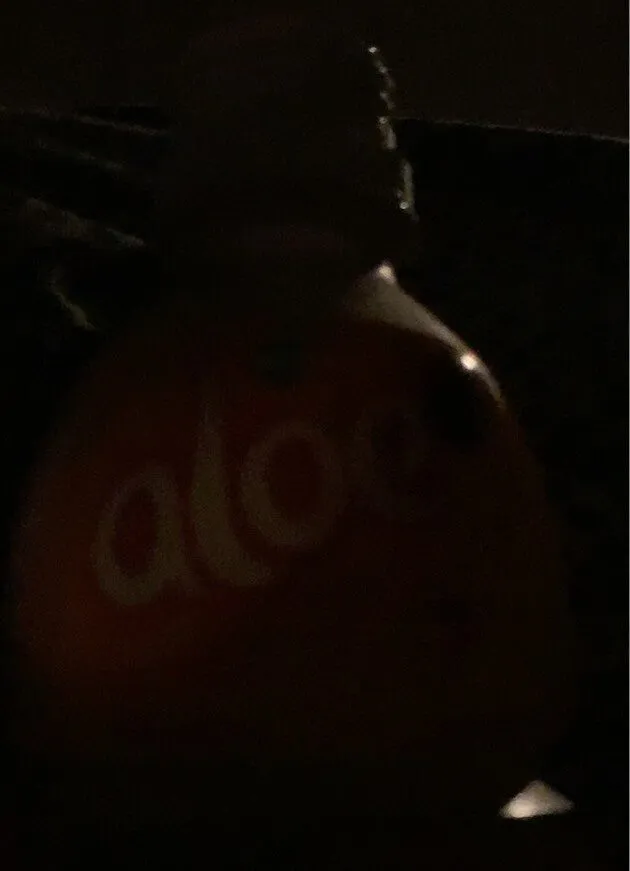 Koya aloe mango