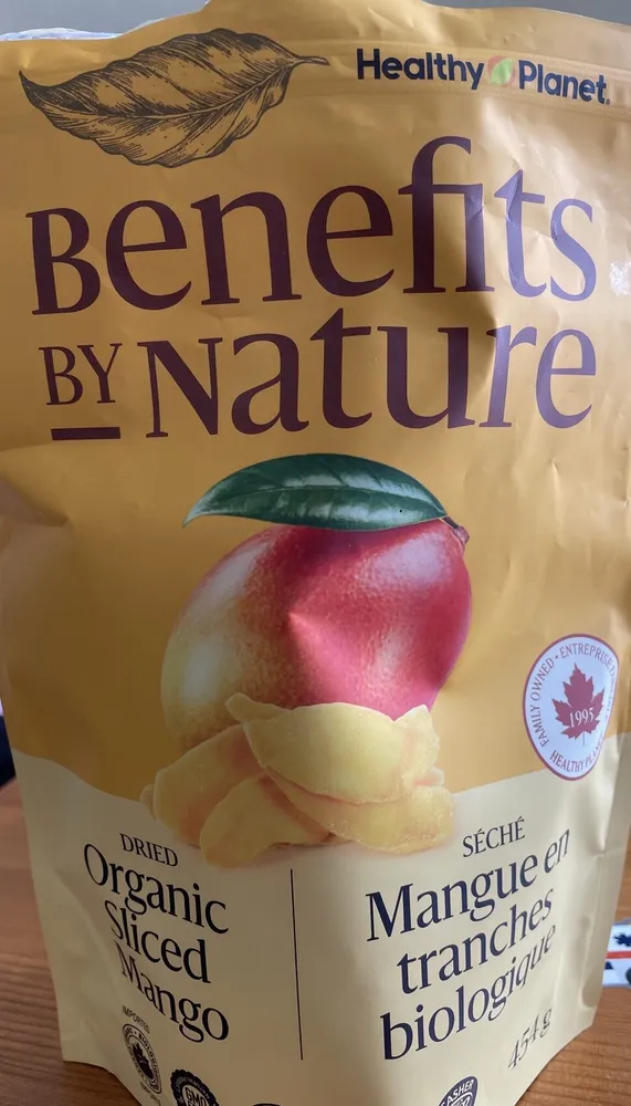 Dried Organic Sliced Mango