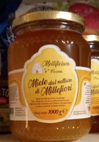 Miele dal nettare di millefiori