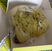Pistacchio