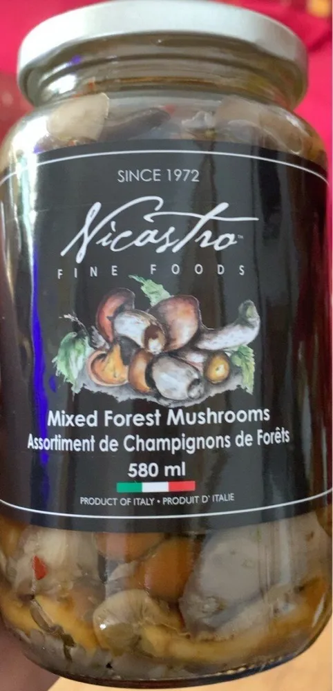 Mixed Forest Mushrooms