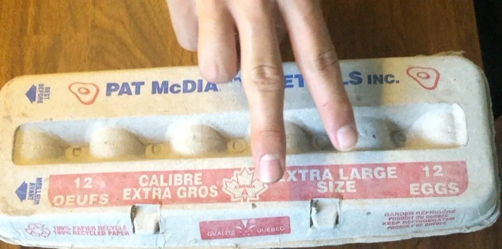 12 Oeuf calibre gros