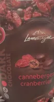 Chocolat noir 45 canneberges