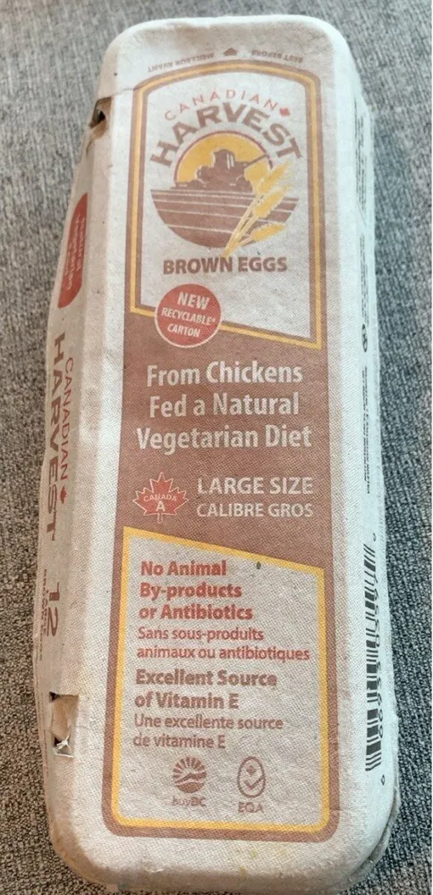 Brown Eggs