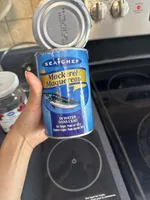Mackerel in Water
