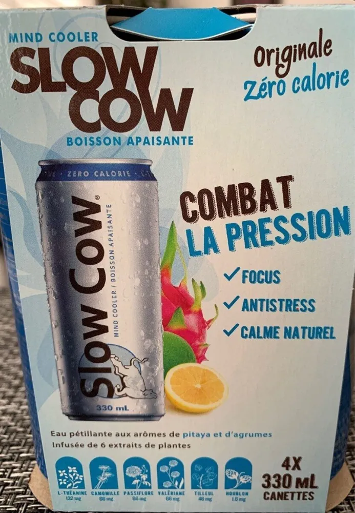 Slow cow