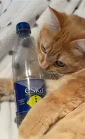 eska sparkling lemon