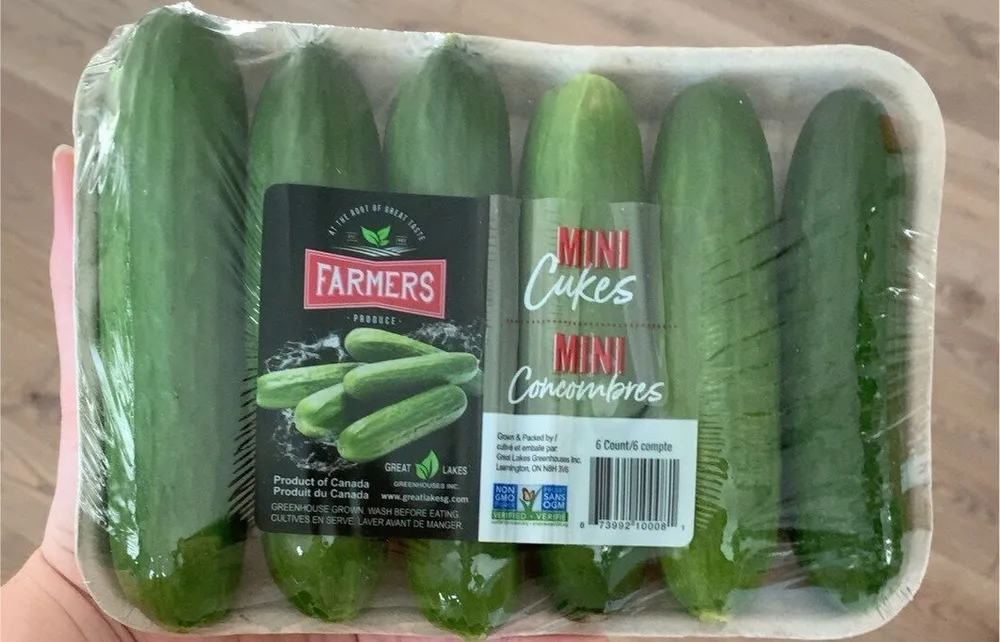 Mini concombres