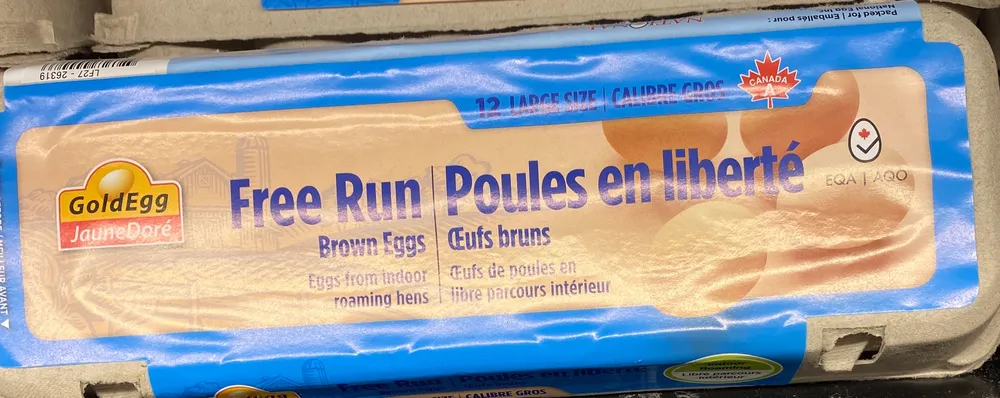Free Run Brown Eggs