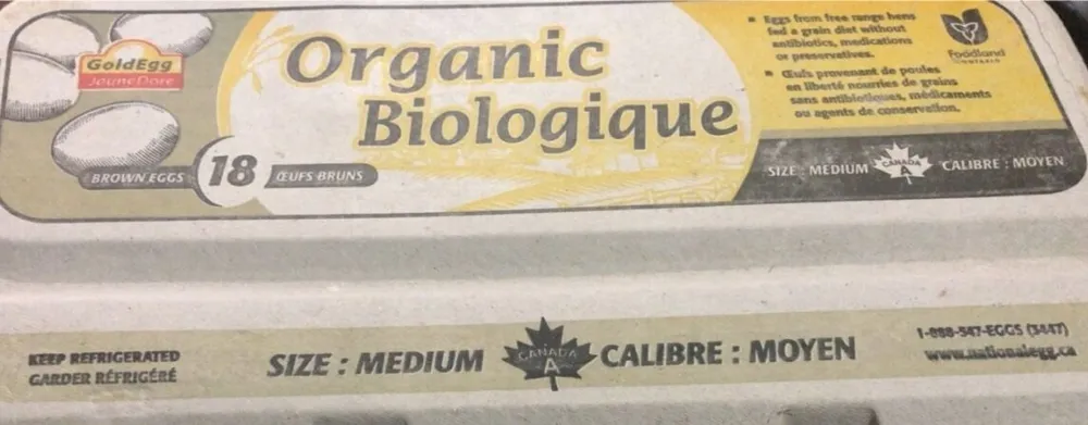 Medium Organic Chicken Egg