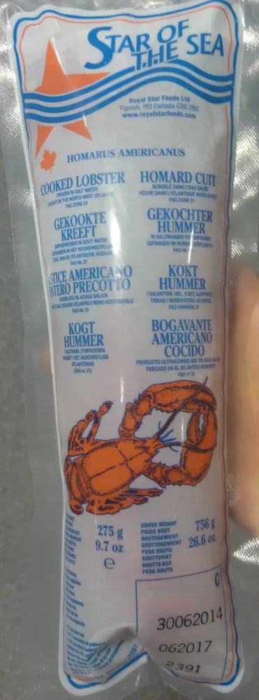 Homard Cuit