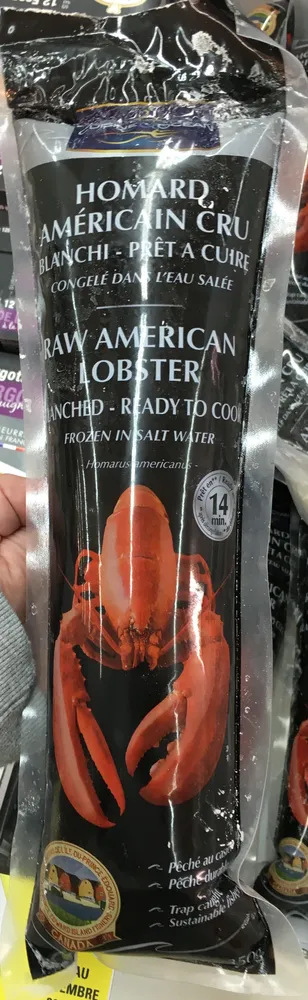 Homard Américain Cru