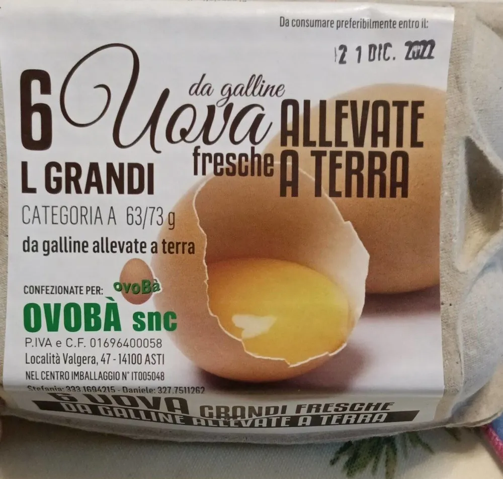 Uova fresche allevate a terra