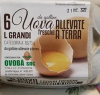 Uova fresche allevate a terra