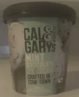 Mint Chocolate Ice Cream