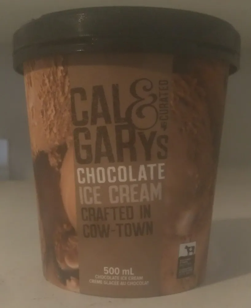 Chocolate Ice Cream