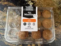 Mini Carrot Muffins