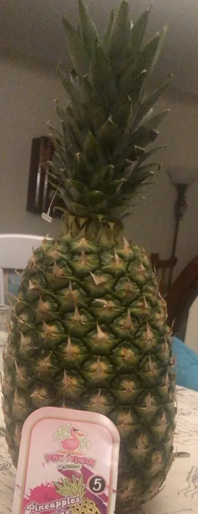 Pineapple