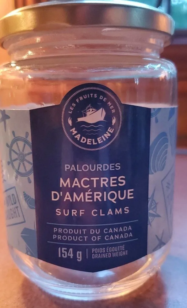 Palourdes Mactres d'Amérique
