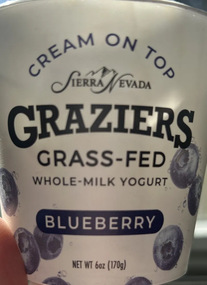 Grass-fed Whole Milk Yogurt Cream on top blueberry on bottom