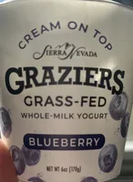 Grass-fed Whole Milk Yogurt Cream on top blueberry on bottom