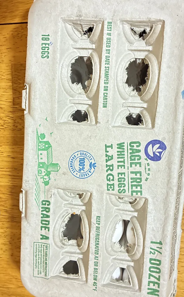 Cage free white eggs