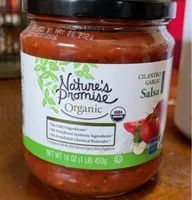 Cilantro Garlic Salsa