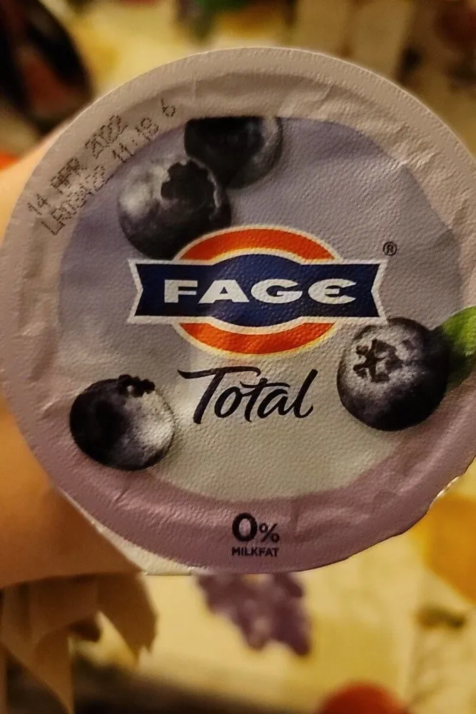 Blended Blueberry Yogurt