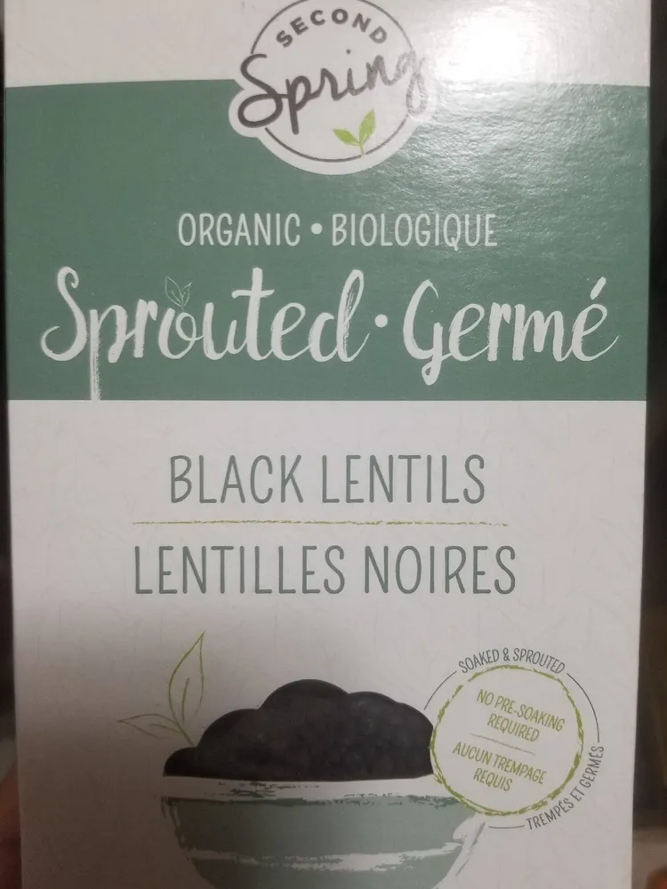 Sprouted Black Lentils