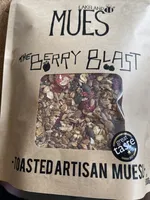 Berry Blast - toasted artisanal muesli