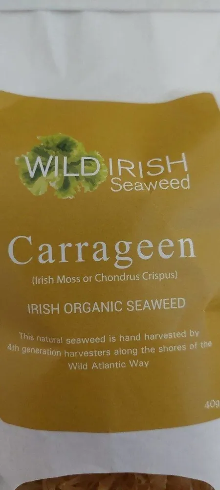 Seaweed