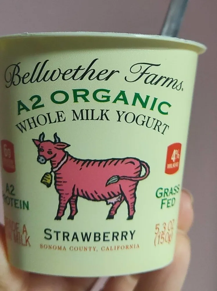A2 Organic Yogurt